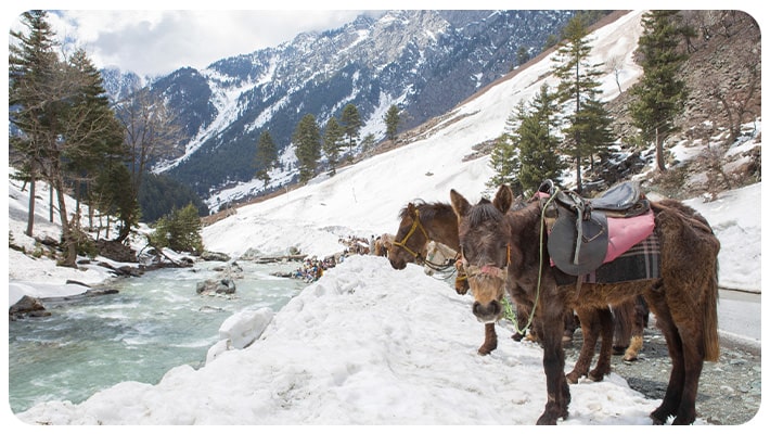 Kashmir - Best Honeymoon Destinations in India for Couples